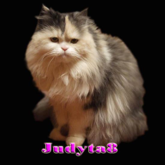 Judyta8