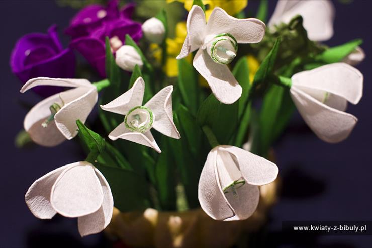 Wiosenne Kwiaty Aktualizacja Galerii Galeria Stefan Pintaric Chomikuj Pl
