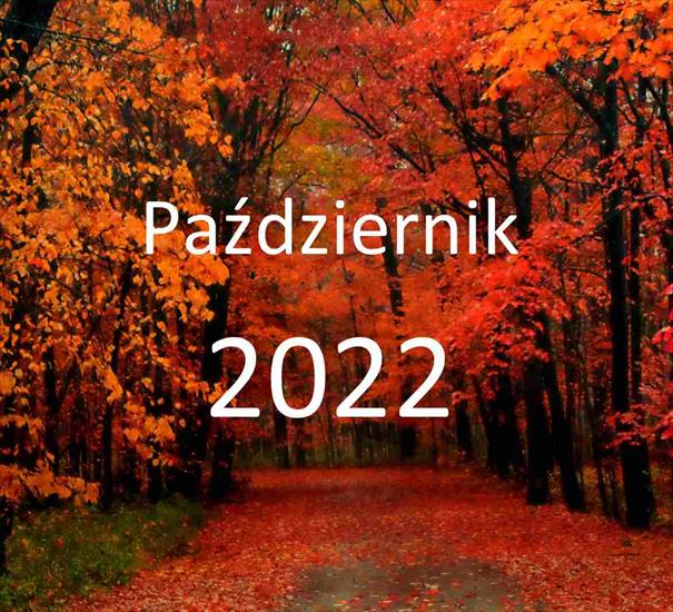 2022 Październik - mp3 składanki - rbbt - Chomikuj.pl